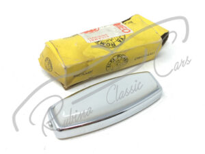 Luce interna abitacolo